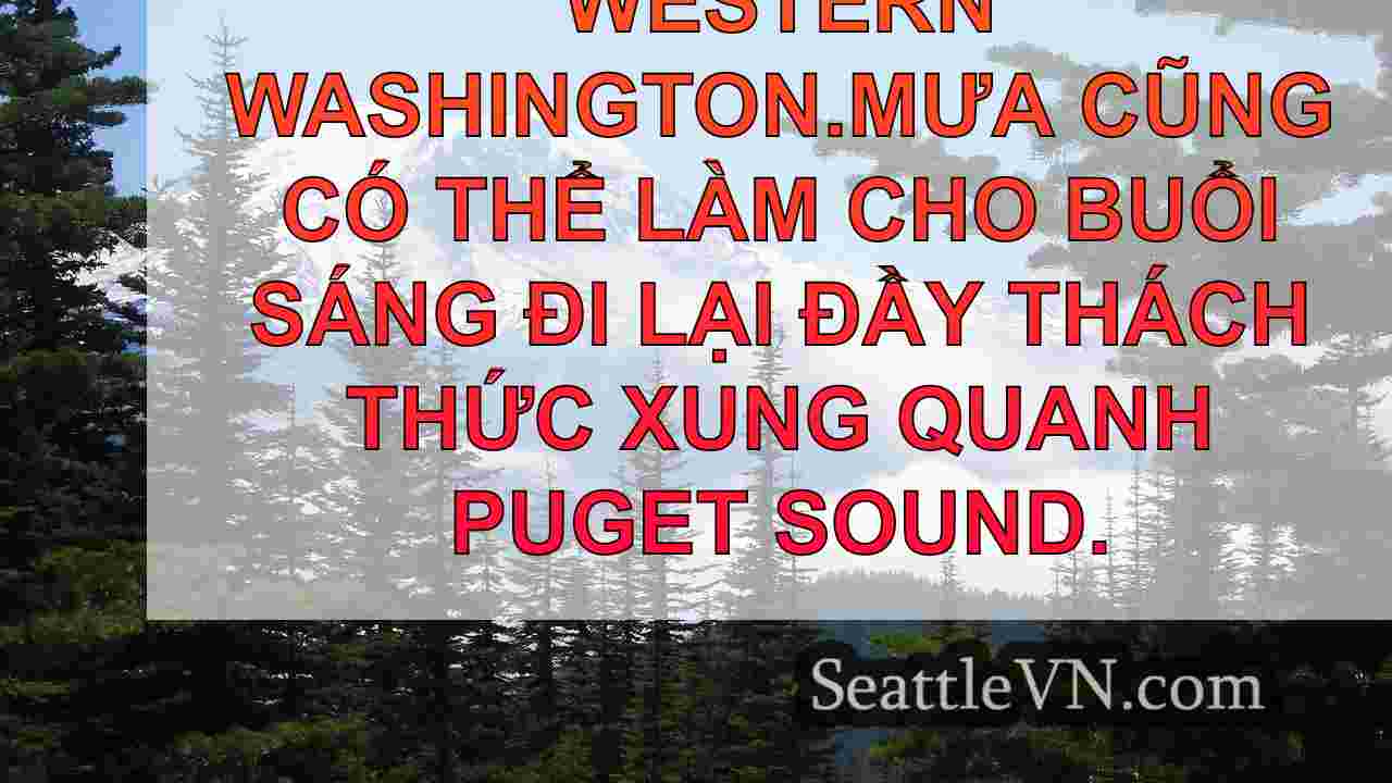 tin tức seattle SeattleVN