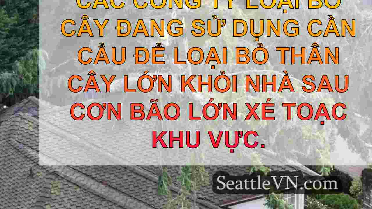 tin tức seattle SeattleVN