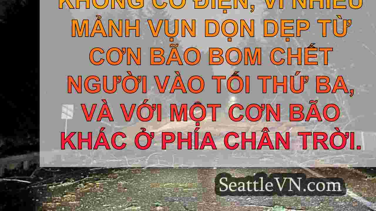 Các doanh nghiệp Đảo Mercer thích nghi