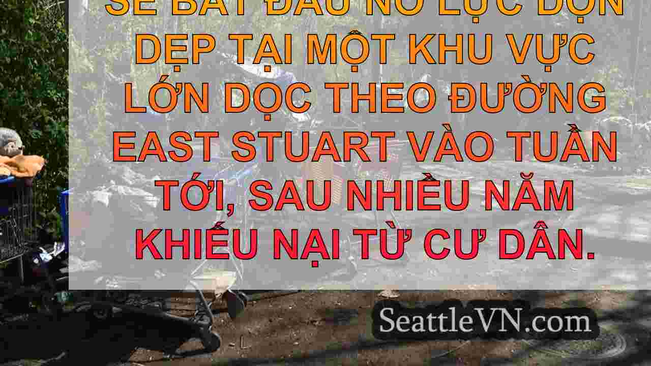 Bellingham để bắt đầu giải tỏa cuộc