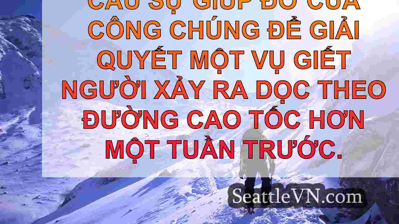 tin tức seattle SeattleVN