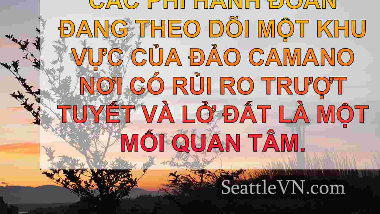 Cây xuống, đường khối trên đảo Camano