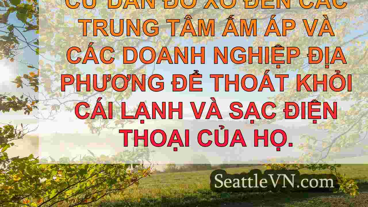 tin tức seattle SeattleVN