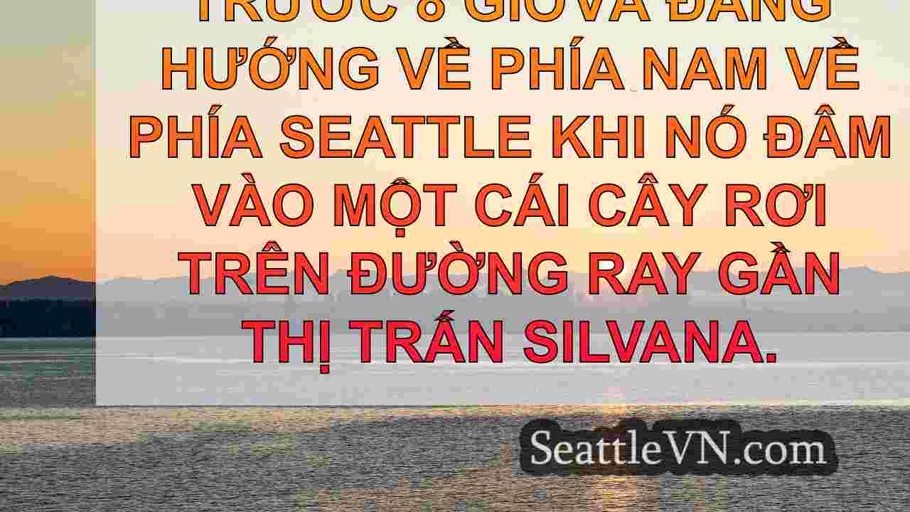 Bomb Lycone gây ra mưa kỷ lục, tuyết