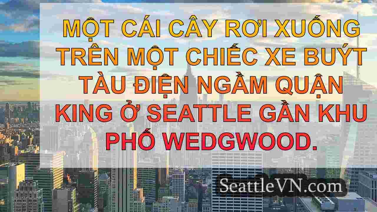 tin tức seattle SeattleVN