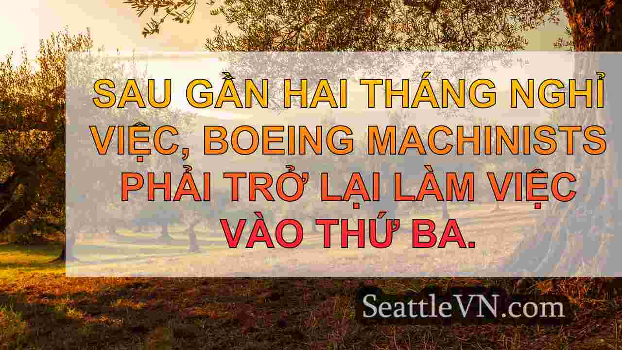 tin tức seattle SeattleVN