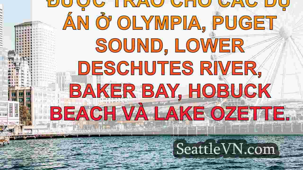 tin tức seattle SeattleVN