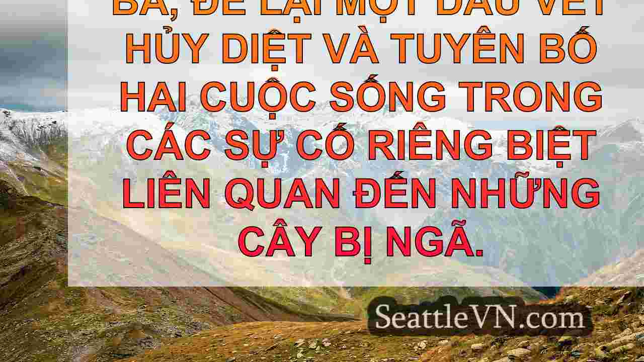 Storm chết người đánh sập những cây