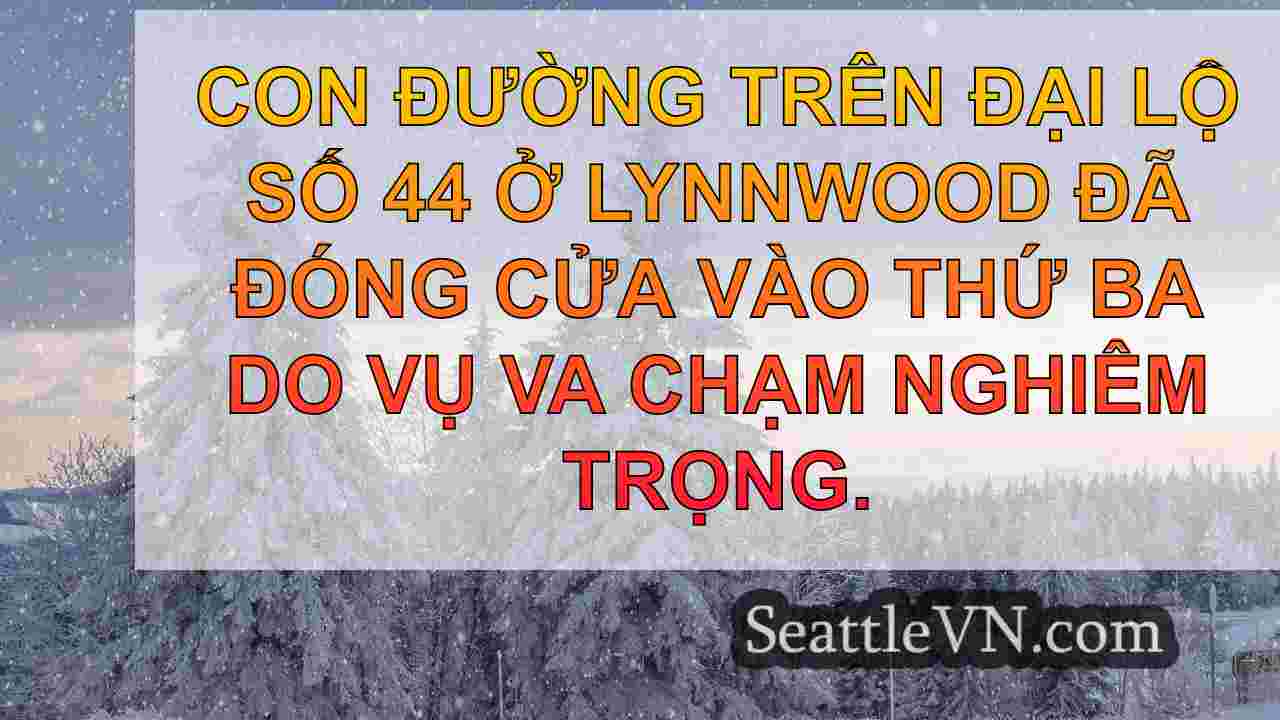tin tức seattle SeattleVN