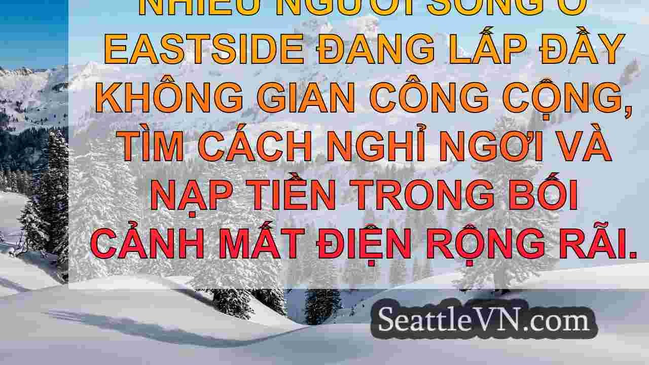 tin tức seattle SeattleVN