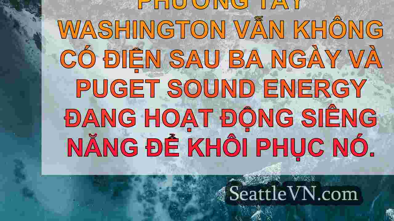 tin tức seattle SeattleVN