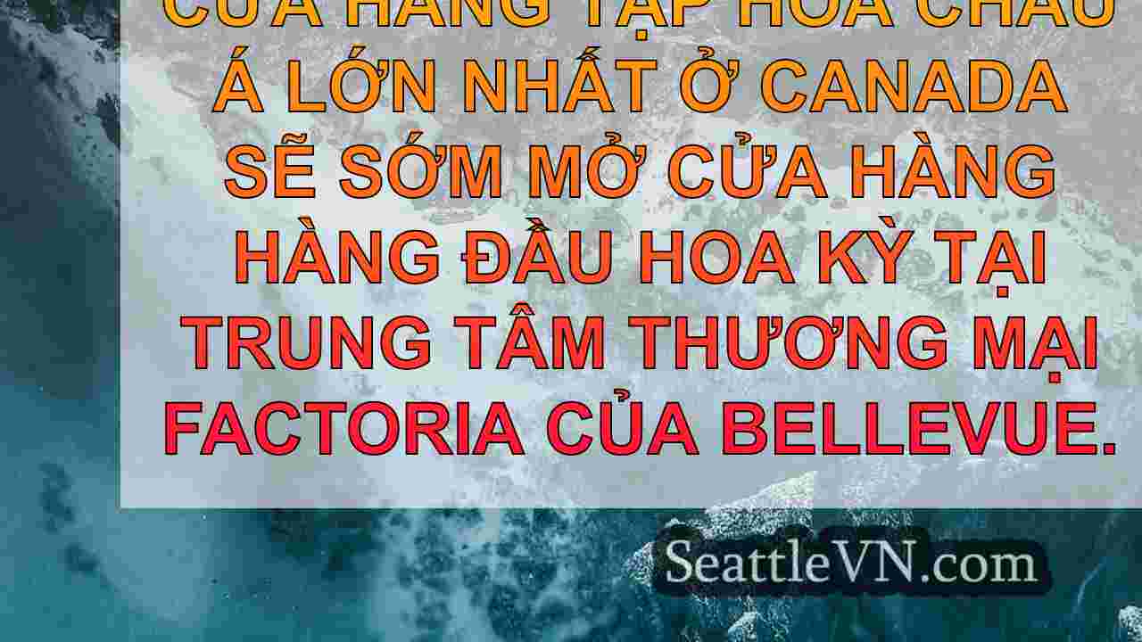 tin tức seattle SeattleVN