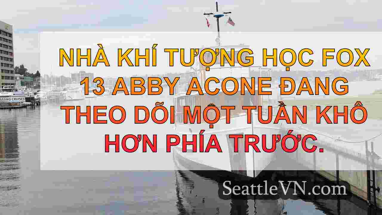 Mô hình thời tiết cẩu thả, tối và mát ở