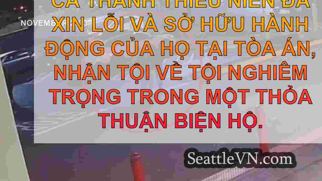 Thanh thiếu niên bị kết án vì cướp và