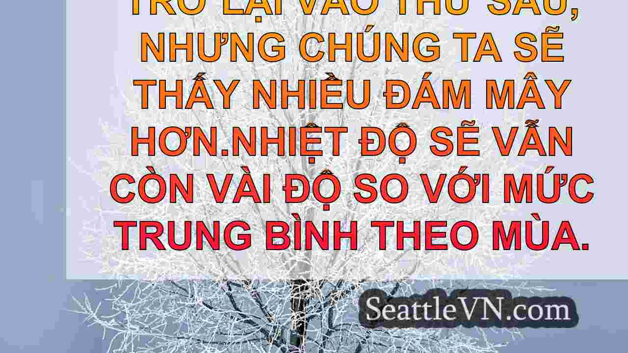 tin tức seattle SeattleVN