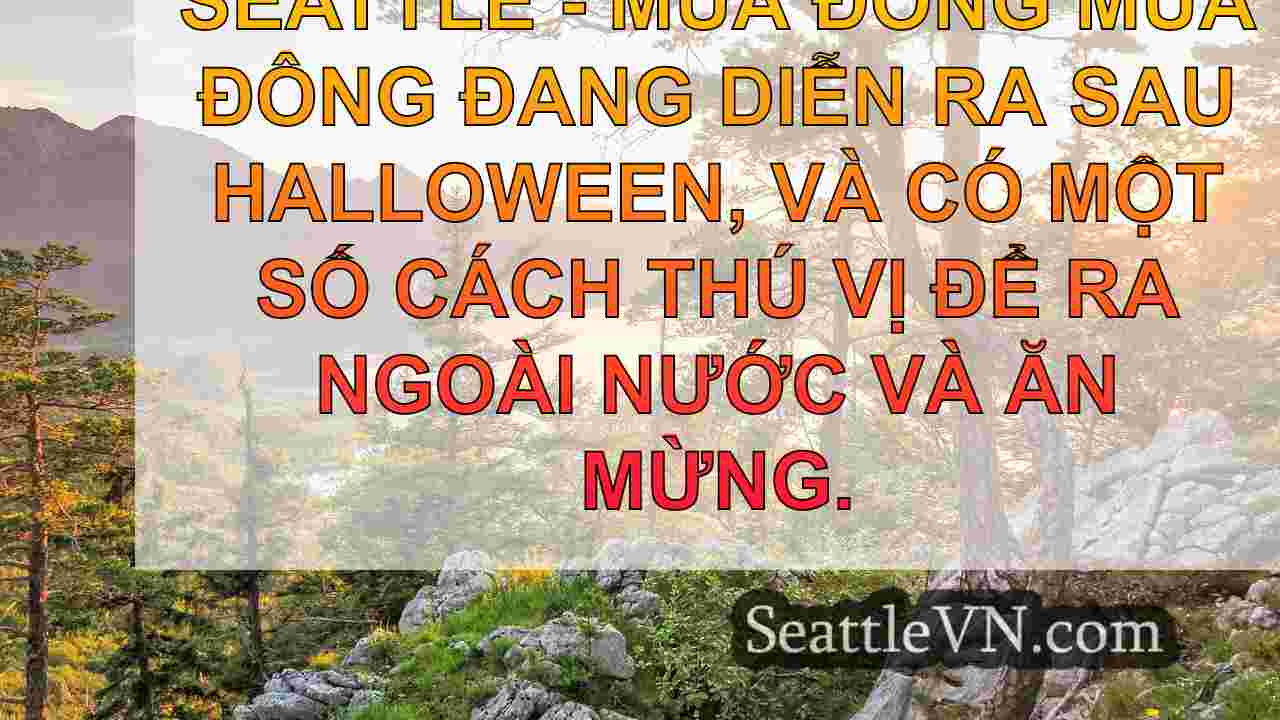 Lịch lễ hội lễ hội Giáng sinh năm 2024