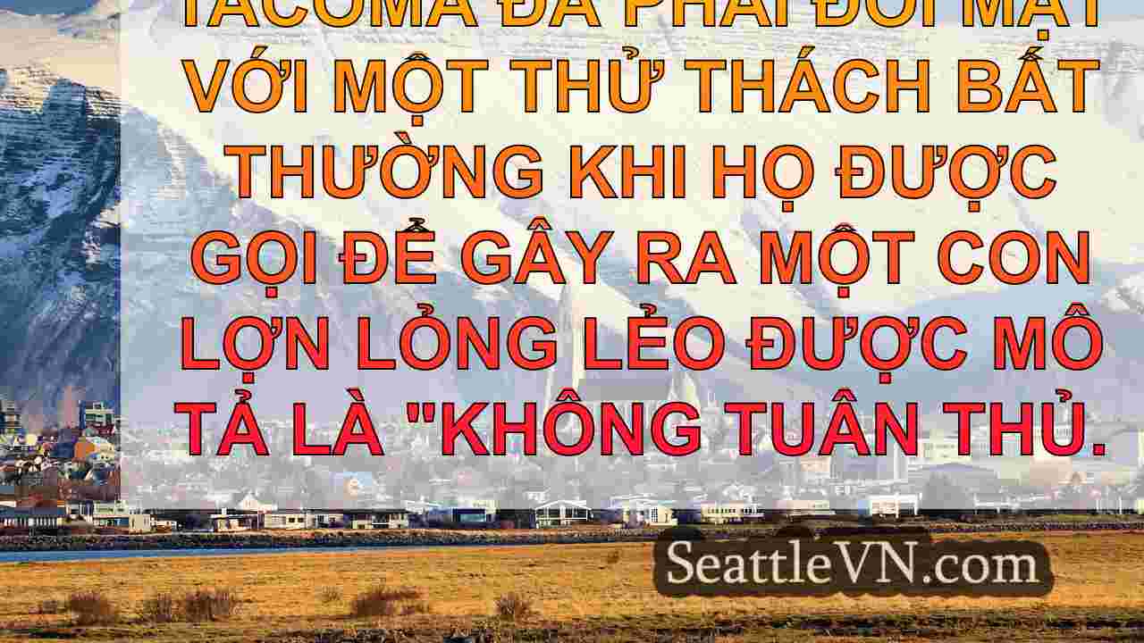 tin tức seattle SeattleVN