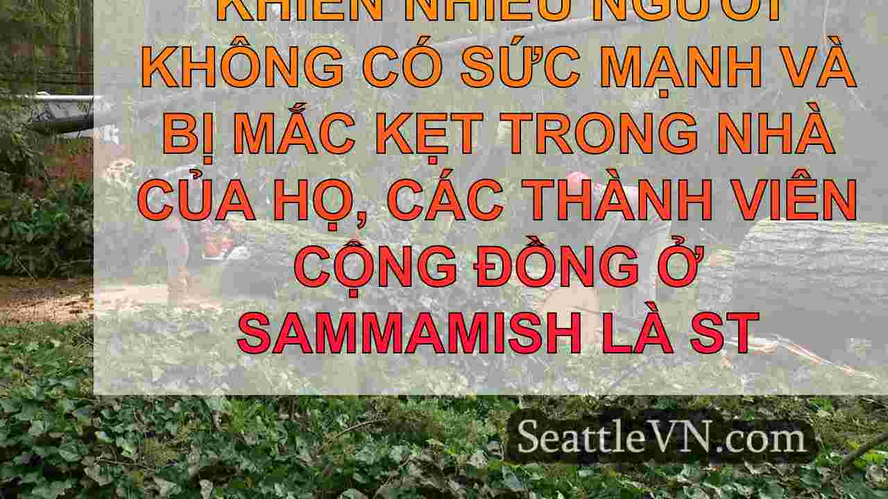 Spirit cộng đồng Sammamish tỏa sáng khi