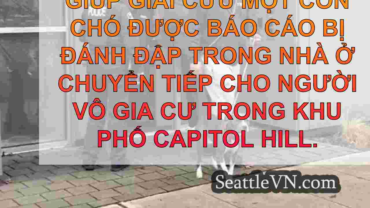 tin tức seattle SeattleVN