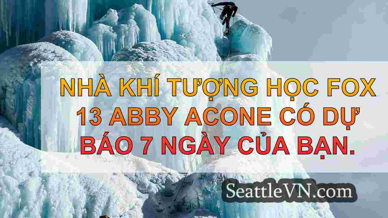 tin tức seattle SeattleVN