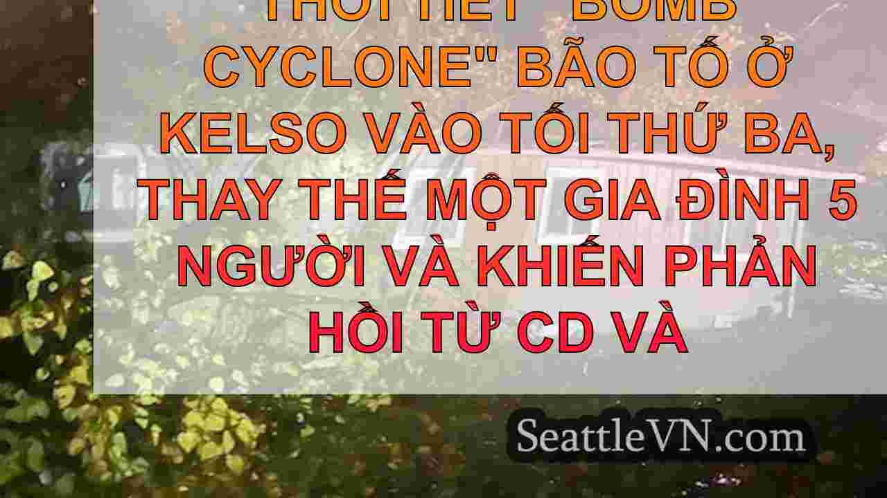 Cây nghiền nát SW Washington về nhà,