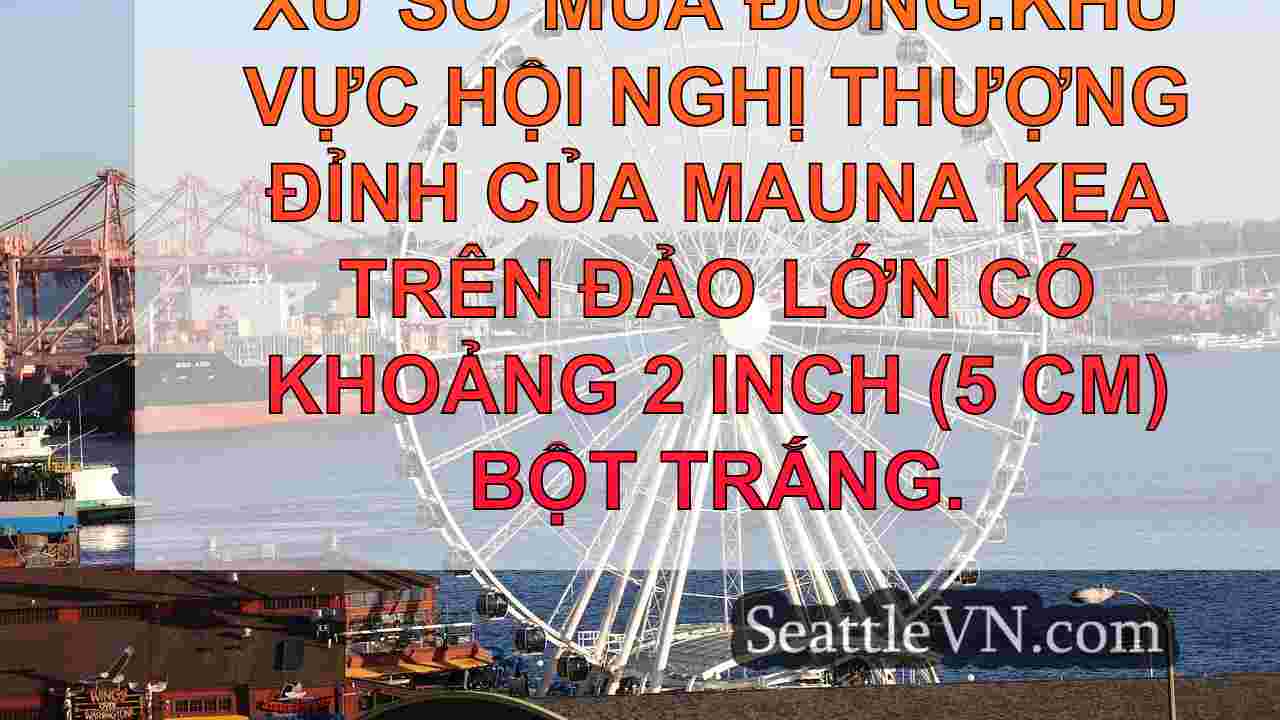 'Mùa đông ở đây': Snow bao phủ Mauna