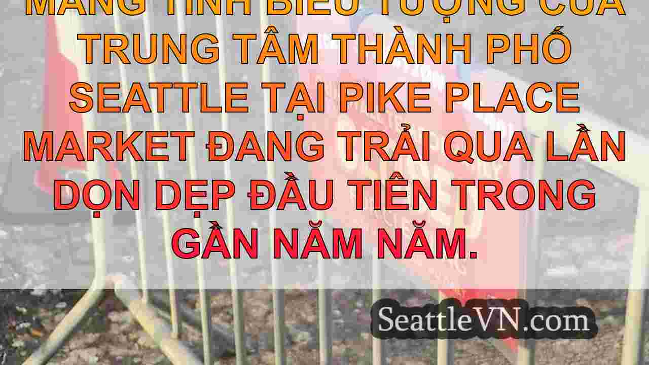 tin tức seattle SeattleVN