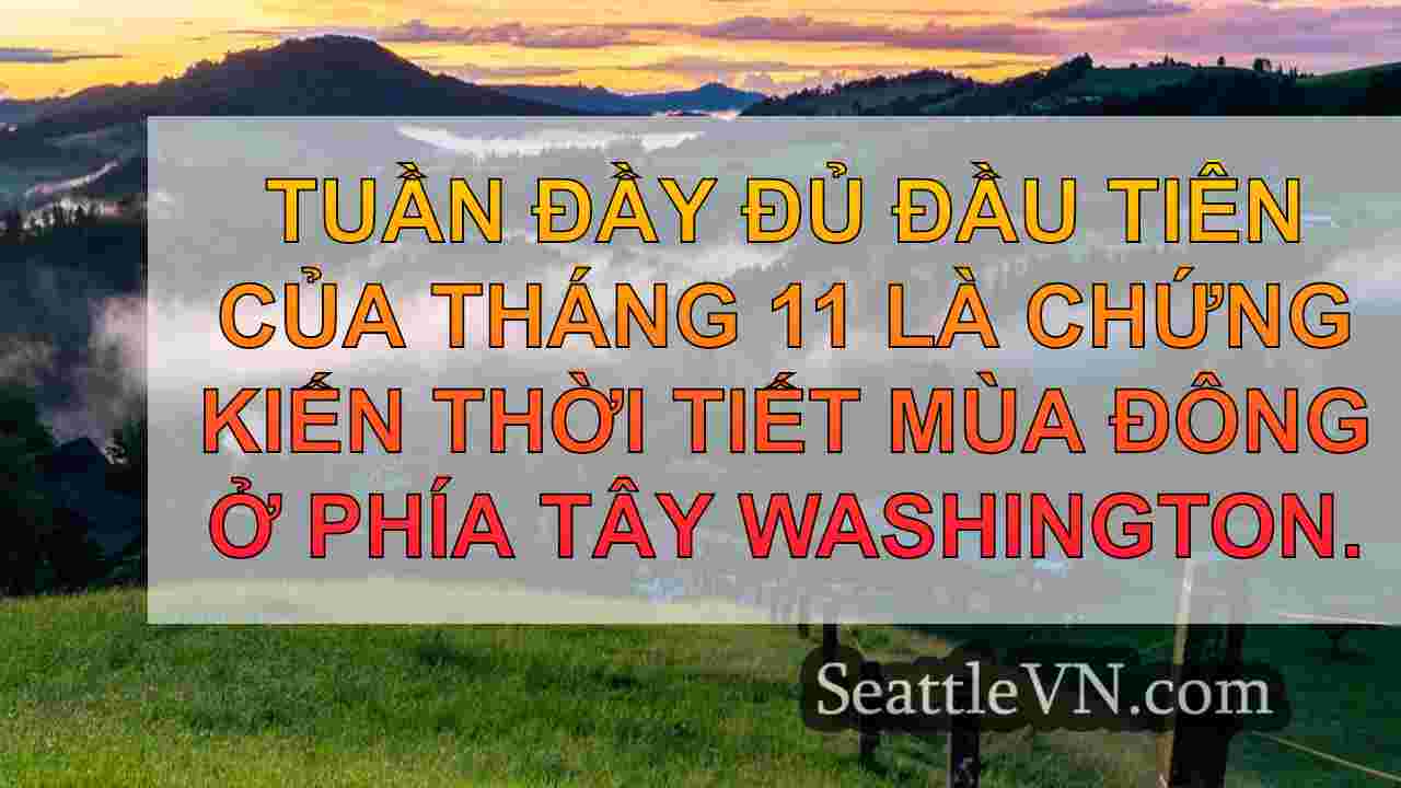 tin tức seattle SeattleVN