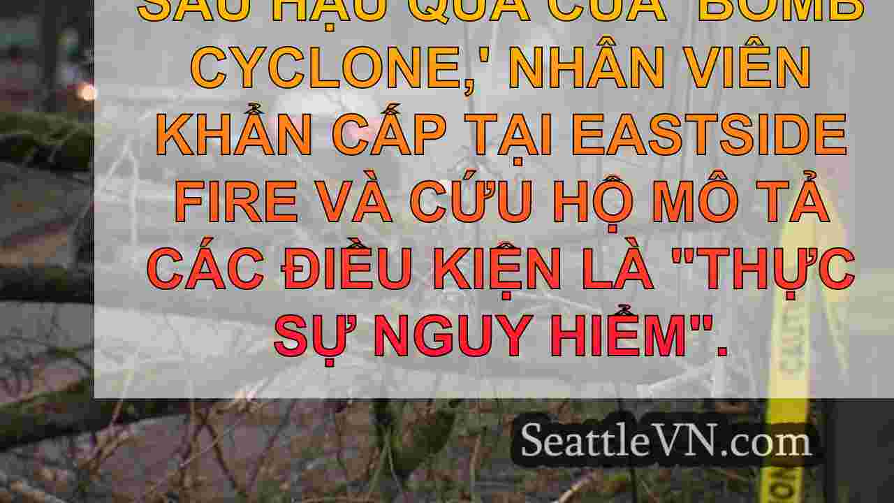 tin tức seattle SeattleVN