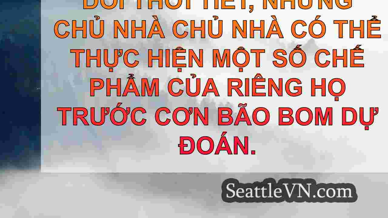 tin tức seattle SeattleVN
