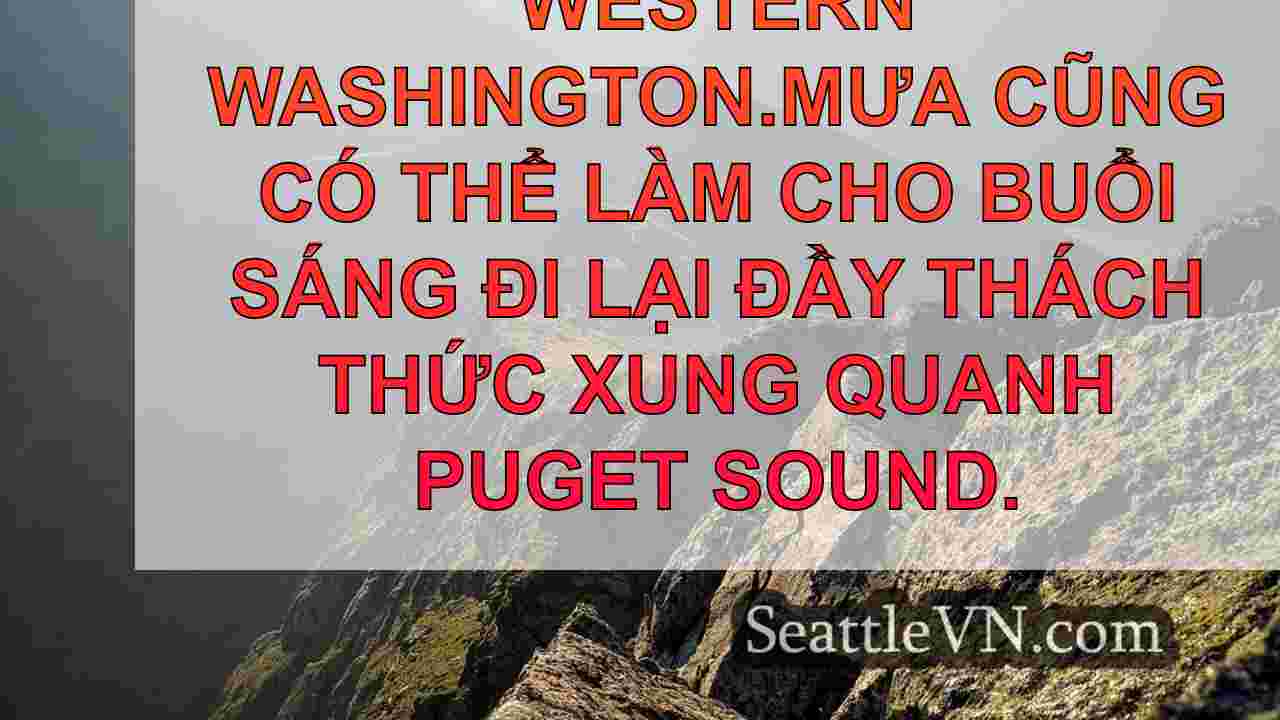 tin tức seattle SeattleVN