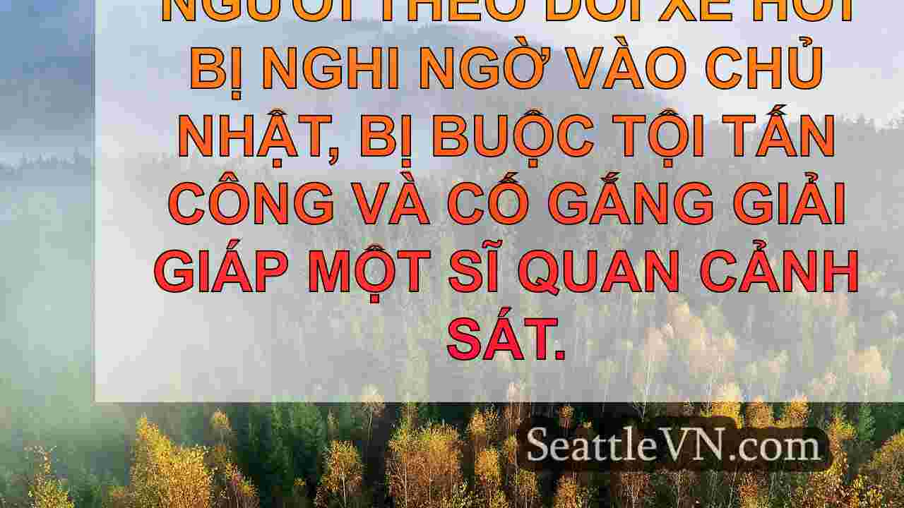tin tức seattle SeattleVN