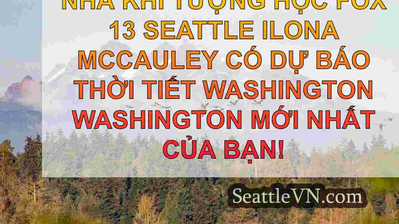 tin tức seattle SeattleVN