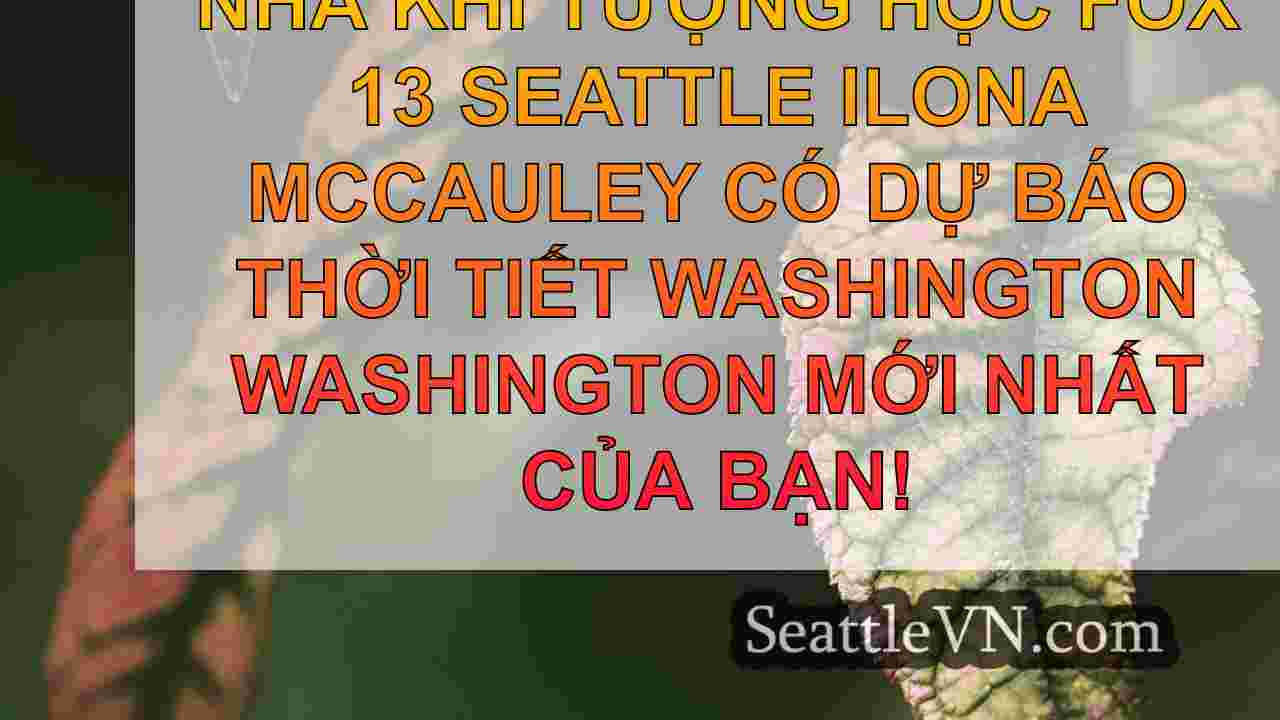 tin tức seattle SeattleVN