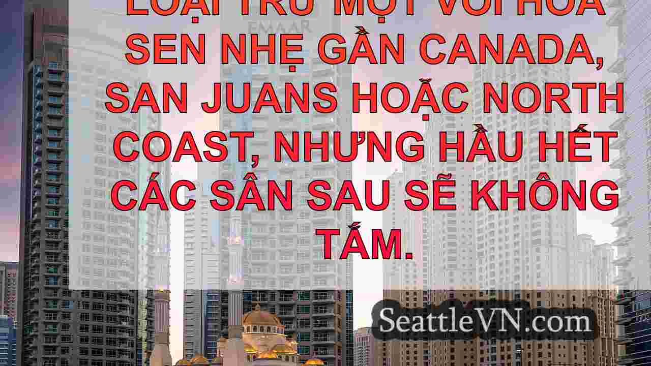 tin tức seattle SeattleVN