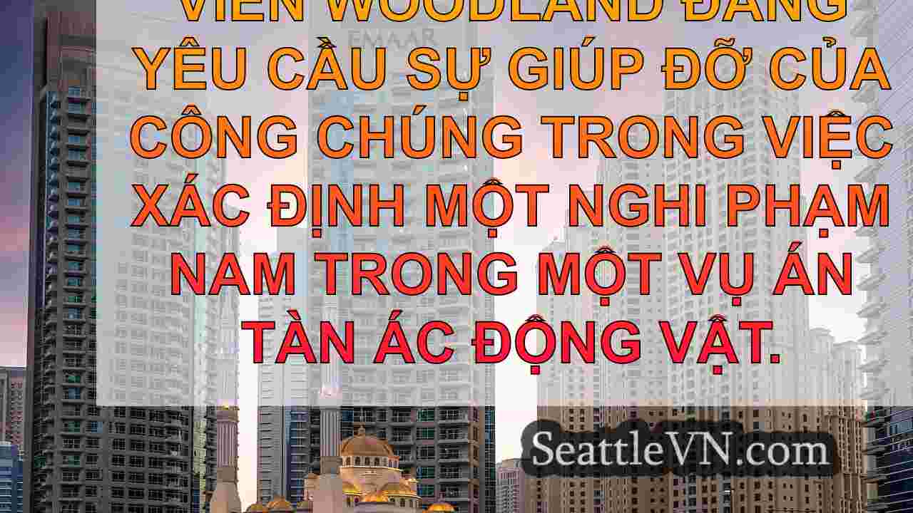 tin tức seattle SeattleVN