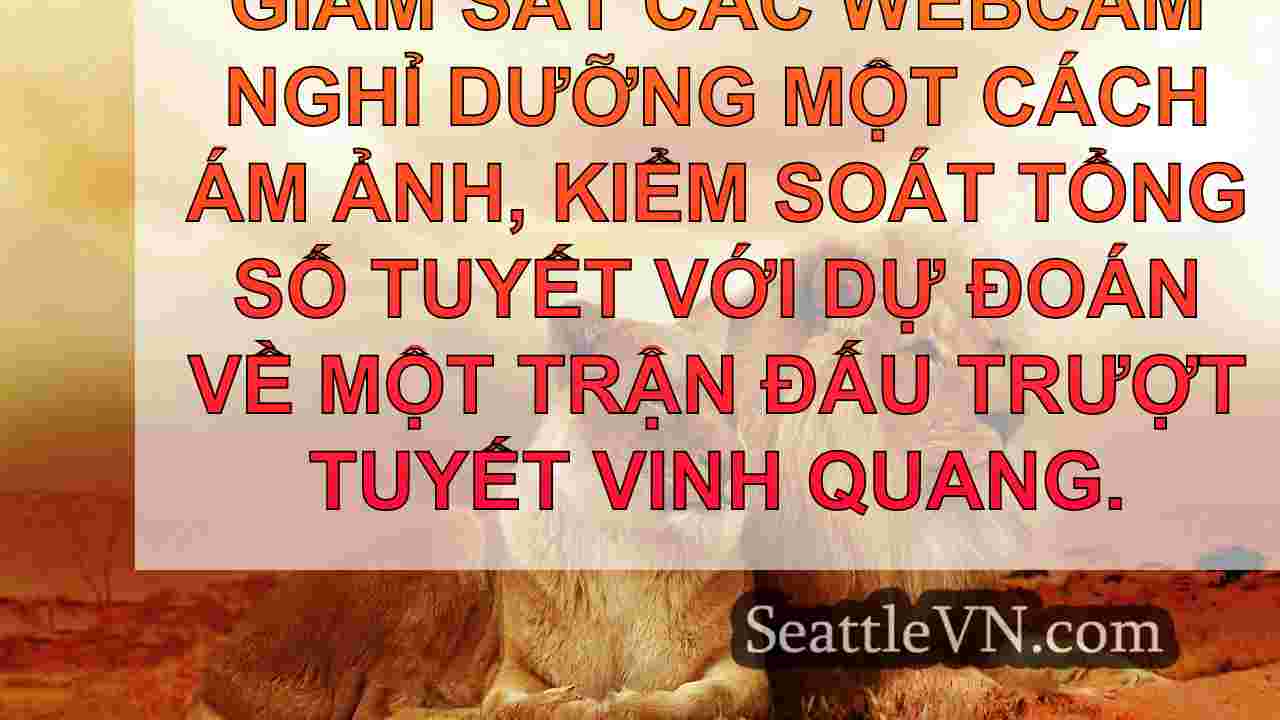 tin tức seattle SeattleVN