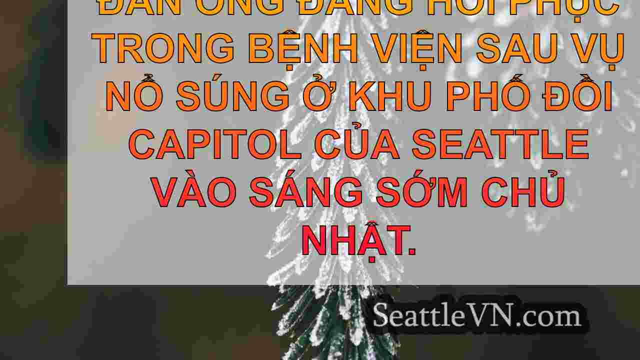 tin tức seattle SeattleVN