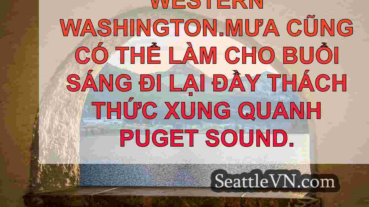 tin tức seattle SeattleVN