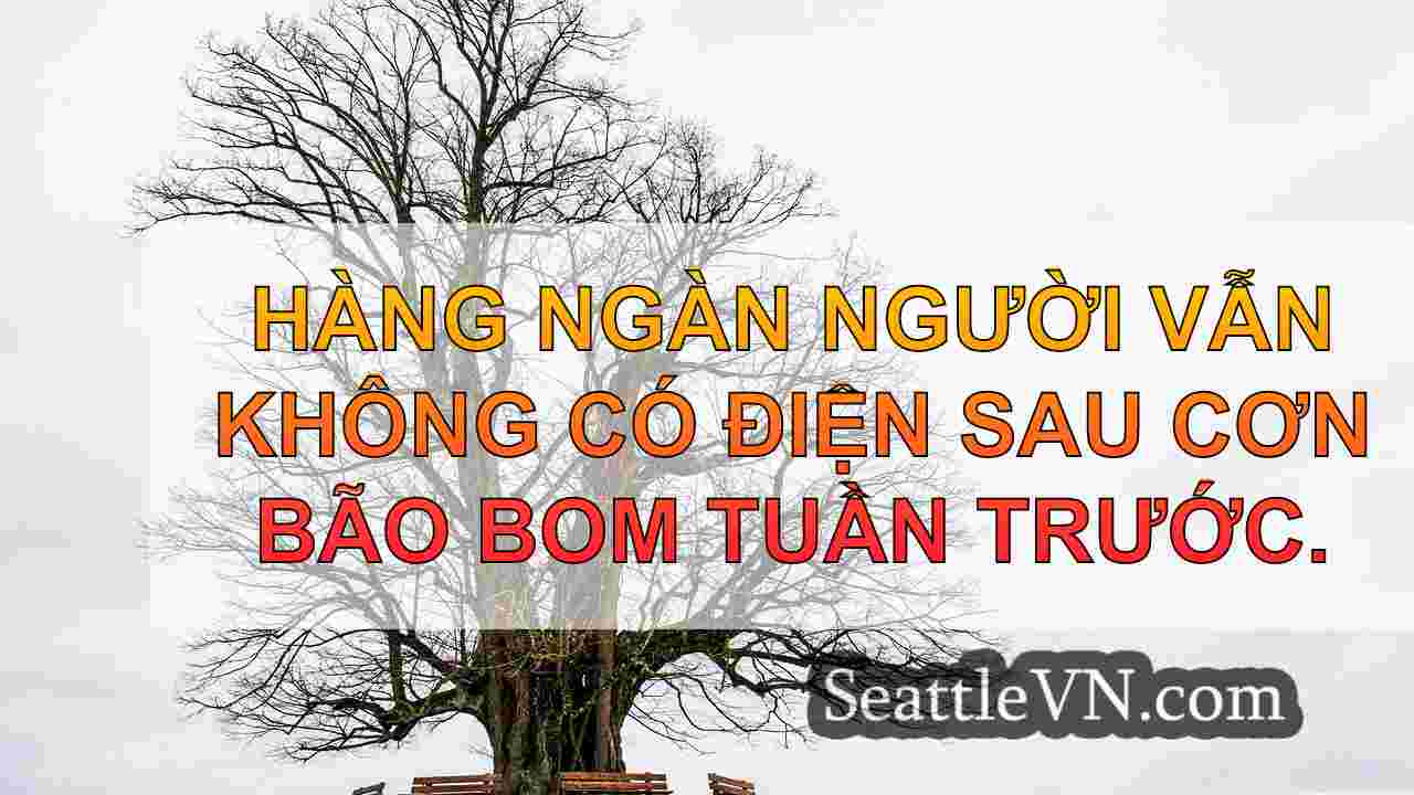 tin tức seattle SeattleVN