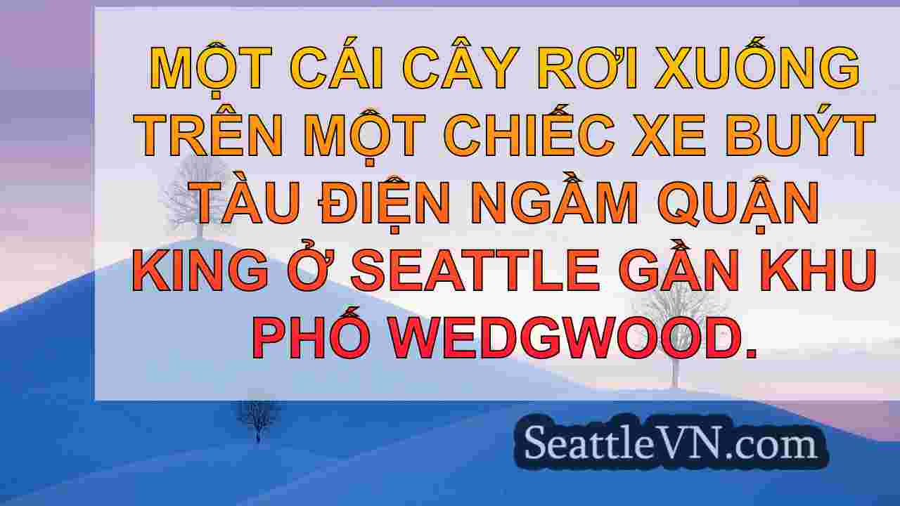 tin tức seattle SeattleVN