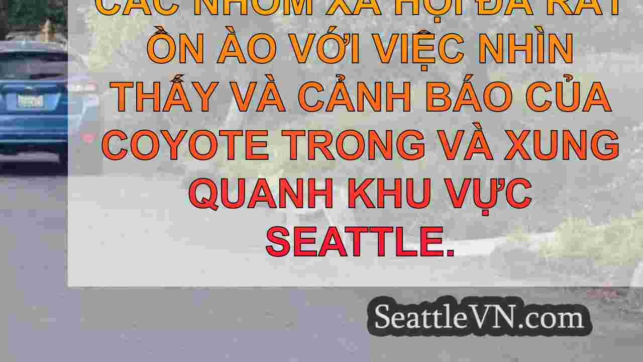 Thành viên Hội đồng Seattle thúc đẩy