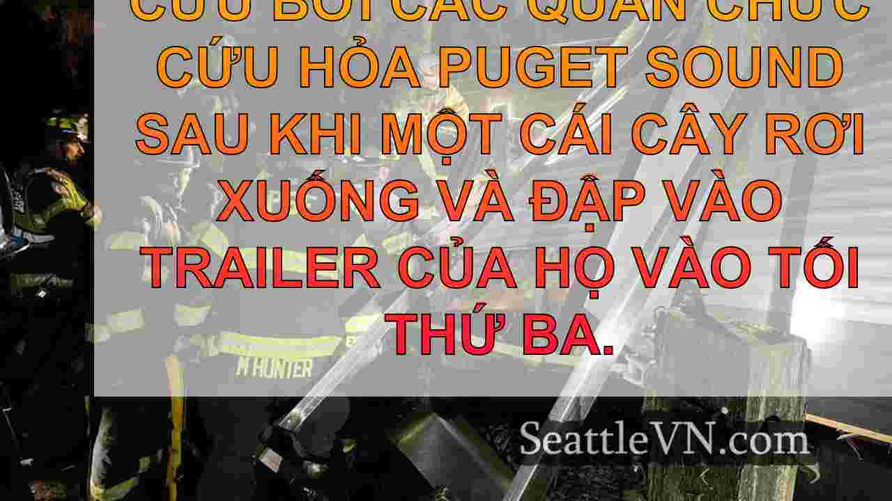 2 người được giải cứu sau khi cây tai