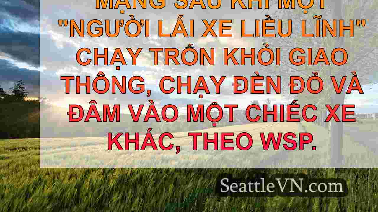 tin tức seattle SeattleVN