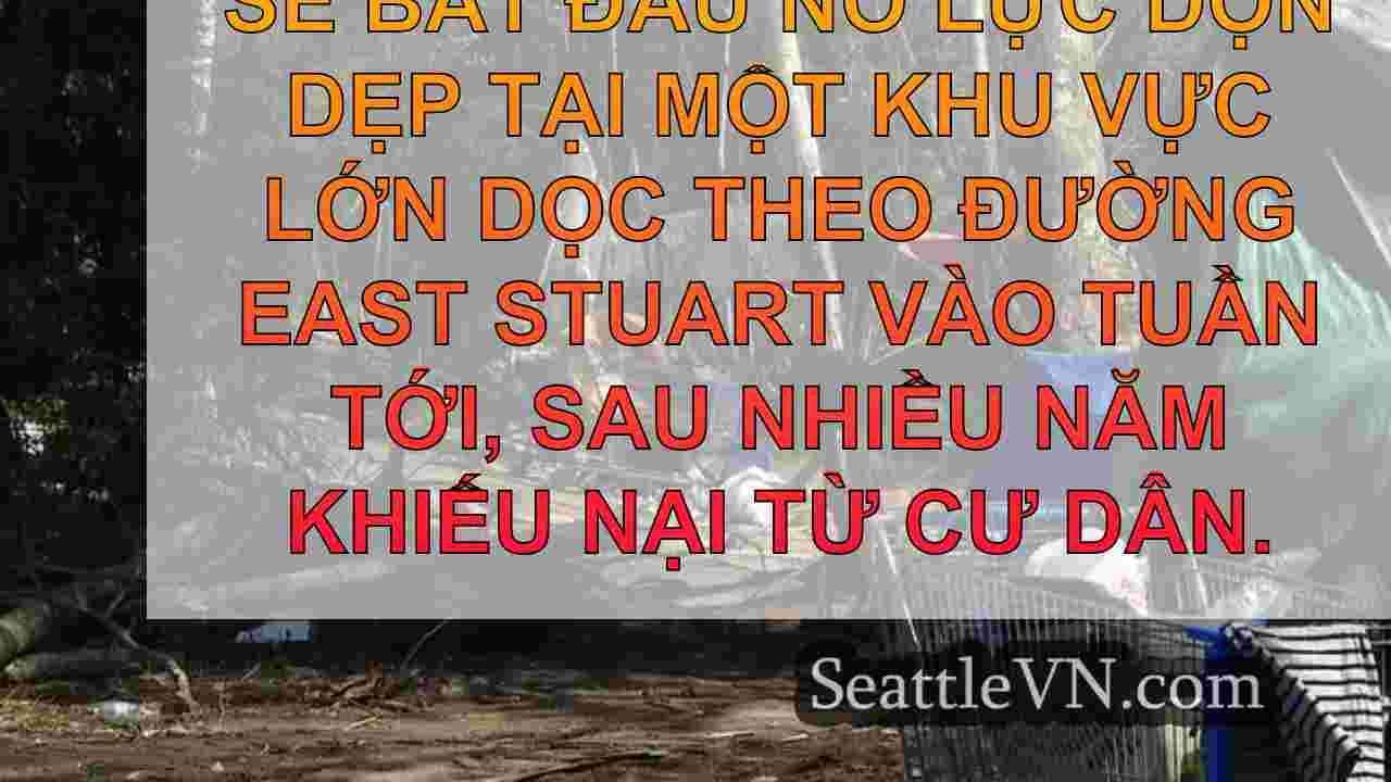 tin tức seattle SeattleVN