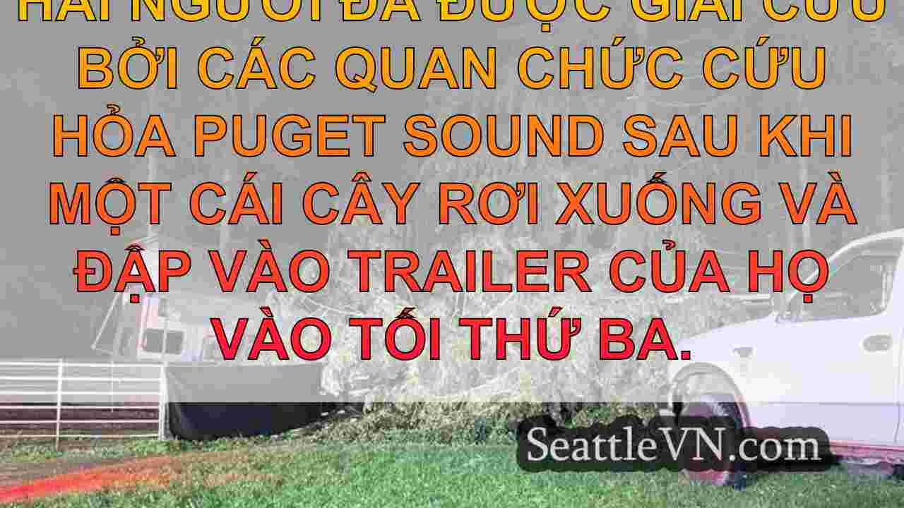 tin tức seattle SeattleVN
