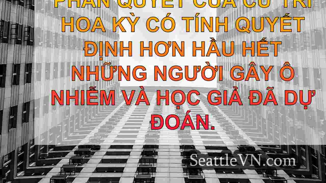 tin tức seattle SeattleVN
