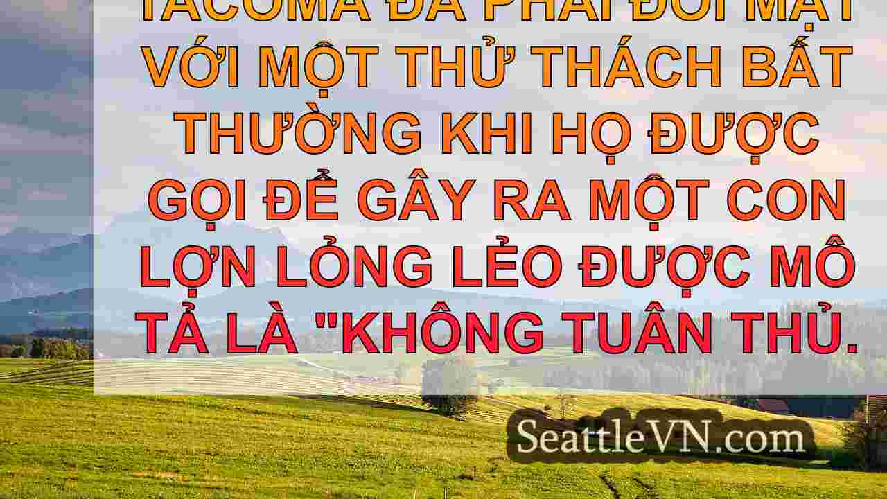 tin tức seattle SeattleVN