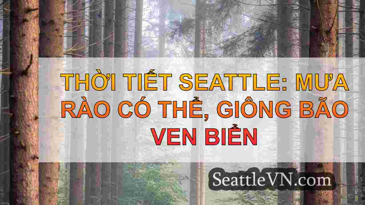 Dự báo thời tiết ẩm thực và ẩm ướt ở