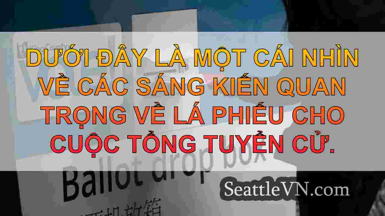 Đây là những gì cần biết về các sáng